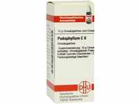 DHU-Arzneimittel GmbH & Co. KG Podophyllum C 6 Globuli 10 g 04232581_DBA
