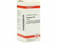 DHU-Arzneimittel GmbH & Co. KG Echinacea HAB C 30 Tabletten 80 St 07141637_DBA