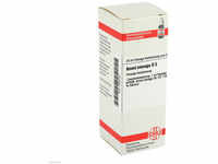 DHU-Arzneimittel GmbH & Co. KG Ammi Visnaga D 3 Dilution 20 ml 04203154_DBA