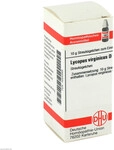 DHU-Arzneimittel GmbH & Co. KG Lycopus Virginicus D 6 Globuli 10 g 04225569_DBA