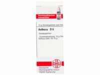 DHU-Arzneimittel GmbH & Co. KG Aethusa D 6 Globuli 10 g 04201787_DBA