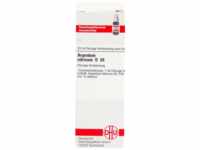 DHU-Arzneimittel GmbH & Co. KG Argentum Nitricum D 30 Dilution 20 ml...