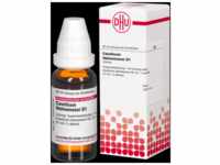 DHU-Arzneimittel GmbH & Co. KG Causticum Hahnemanni Urtinktur D 1 20 ml 02610211_DBA