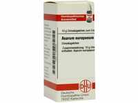 DHU-Arzneimittel GmbH & Co. KG Asarum Europaeum C 30 Globuli 10 g 07160304_DBA
