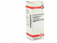 DHU-Arzneimittel GmbH & Co. KG Colocynthis D 12 Dilution 20 ml 02806405_DBA