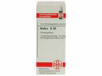 DHU-Arzneimittel GmbH & Co. KG Ambra D 30 Globuli 10 g 02892853_DBA