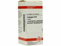 DHU-Arzneimittel GmbH & Co. KG Crataegus D 30 Tabletten 80 St 07165945_DBA