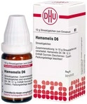 DHU-Arzneimittel GmbH & Co. KG Hamamelis D 6 Globuli 10 g 02638333_DBA