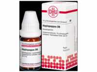 DHU-Arzneimittel GmbH & Co. KG Haplopappus D 6 Globuli 10 g 07169239_DBA