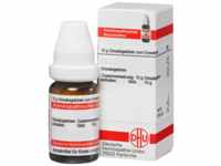 DHU-Arzneimittel GmbH & Co. KG Belladonna D 8 Globuli 10 g 04206980_DBA