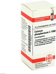 DHU-Arzneimittel GmbH & Co. KG Calcium Phosphoricum C 1000 Globuli 10 g 04209441_DBA