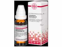 DHU-Arzneimittel GmbH & Co. KG Caulophyllum Thalictroides D 4 Dilution 20 ml