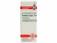 DHU-Arzneimittel GmbH & Co. KG Sambucus Nigra D 4 Globuli 10 g 02890653_DBA