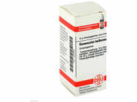 DHU-Arzneimittel GmbH & Co. KG Ranunculus Bulbosus D 6 Globuli 10 g 04233830_DBA