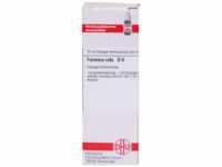 DHU-Arzneimittel GmbH & Co. KG Formica Rufa D 6 Dilution 20 ml 02898910_DBA
