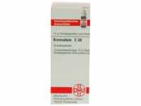 DHU-Arzneimittel GmbH & Co. KG Kreosotum C 30 Globuli 10 g 04223323_DBA