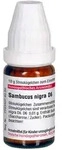 DHU-Arzneimittel GmbH & Co. KG Sambucus Nigra D 6 Globuli 10 g 02890162_DBA
