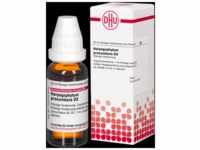 DHU-Arzneimittel GmbH & Co. KG Harpagophytum Procumbens D 3 Dilution 20 ml