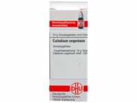 DHU-Arzneimittel GmbH & Co. KG Caladium seguinum C 30 Globuli 10 g 04209613_DBA