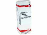 DHU-Arzneimittel GmbH & Co. KG Ledum C 30 Dilution 20 ml 07172135_DBA