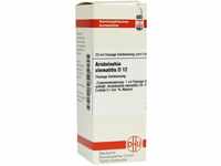 DHU-Arzneimittel GmbH & Co. KG Aristolochia Clematitis D 12 Dilution 20 ml