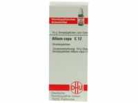 DHU-Arzneimittel GmbH & Co. KG Allium Cepa C 12 Globuli 10 g 07158075_DBA