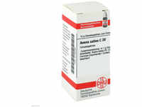 DHU-Arzneimittel GmbH & Co. KG Avena Sativa C 30 Globuli 10 g 07160793_DBA