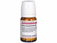 DHU-Arzneimittel GmbH & Co. KG Rhus Toxicodendron D 6 Tabletten 80 St 01783694_DBA