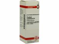 DHU-Arzneimittel GmbH & Co. KG Plumbum Metallicum D 6 Dilution 20 ml...