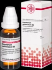 DHU-Arzneimittel GmbH & Co. KG Eupatorium Perfoliatum D 6 Dilution 20 ml 02127615_DBA