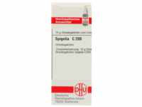 DHU-Arzneimittel GmbH & Co. KG Spigelia C 200 Globuli 10 g 04237472_DBA