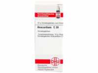 DHU-Arzneimittel GmbH & Co. KG Anacardium C 30 Globuli 10 g 02892988_DBA