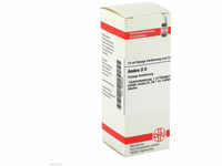 DHU-Arzneimittel GmbH & Co. KG Ambra D 6 Dilution 20 ml 02606250_DBA