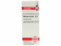 DHU-Arzneimittel GmbH & Co. KG Marum Verum D 6 Globuli 10 g 04226669_DBA