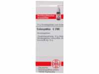 DHU-Arzneimittel GmbH & Co. KG Colocynthis C 200 Globuli 10 g 04213448_DBA