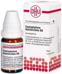 DHU-Arzneimittel GmbH & Co. KG Caulophyllum Thalictroides D 6 Globuli 10 g