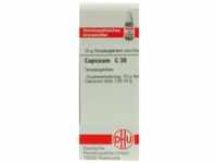 DHU-Arzneimittel GmbH & Co. KG Capsicum C 30 Globuli 10 g 04210237_DBA