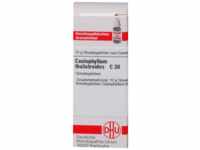 DHU-Arzneimittel GmbH & Co. KG Caulophyllum Thalictroides C 30 Globuli 10 g