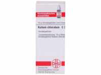 DHU-Arzneimittel GmbH & Co. KG Kalium Chloratum C 200 Globuli 10 g 07171147_DBA