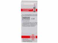 DHU-Arzneimittel GmbH & Co. KG Eupatorium Perfoliatum C 12 Globuli 10 g 07167499_DBA