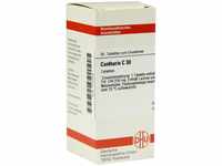 DHU-Arzneimittel GmbH & Co. KG Cantharis C 30 Tabletten 80 St 07141525_DBA
