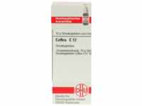 DHU-Arzneimittel GmbH & Co. KG Coffea C 12 Globuli 10 g 07165193_DBA