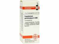DHU-Arzneimittel GmbH & Co. KG Eupatorium Perfoliatum D 200 Globuli 10 g...