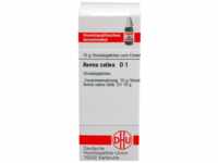 DHU-Arzneimittel GmbH & Co. KG Avena Sativa D 1 Globuli 10 g 04206342_DBA