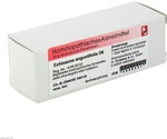 DR.RECKEWEG & CO. GMBH Echinacea Angustifolia D 6 Globuli 10 g 00908231_DBA