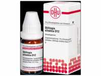 DHU-Arzneimittel GmbH & Co. KG Stillingia silvatica D 12 Globuli 10 g...