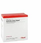 Biologische Heilmittel Heel GmbH Arteria Suis Injeel Ampullen 100 St 00073080_DBA