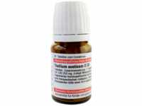 DHU-Arzneimittel GmbH & Co. KG Thallium Aceticum D 30 Tabletten 80 St 02808367_DBA