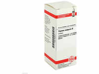 DHU-Arzneimittel GmbH & Co. KG Thymus Vulgaris Urtinktur 20 ml 04240741_DBA
