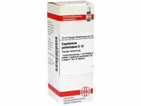 DHU-Arzneimittel GmbH & Co. KG Eupatorium Perfoliatum D 12 Dilution 20 ml